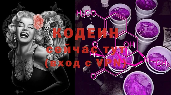 хмурый Краснослободск