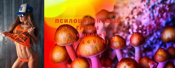 хмурый Краснослободск
